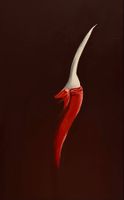 suelle -sterilisierte aktmalerei 100x160cm