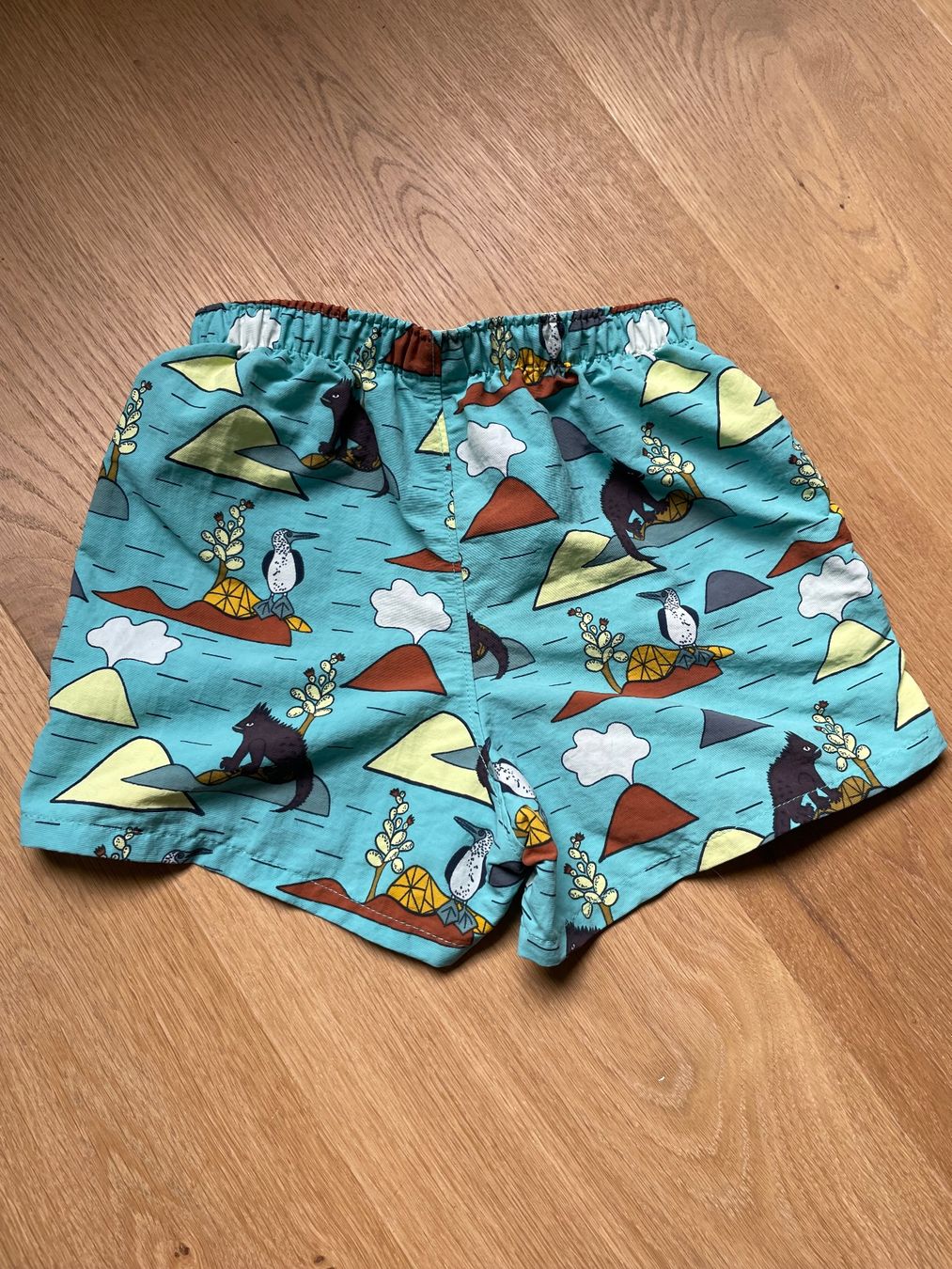 Patagonia Pantaloni: Patagonia Baggie Shorts 3T – Usato da Nidau venduto da Lofoten12 1