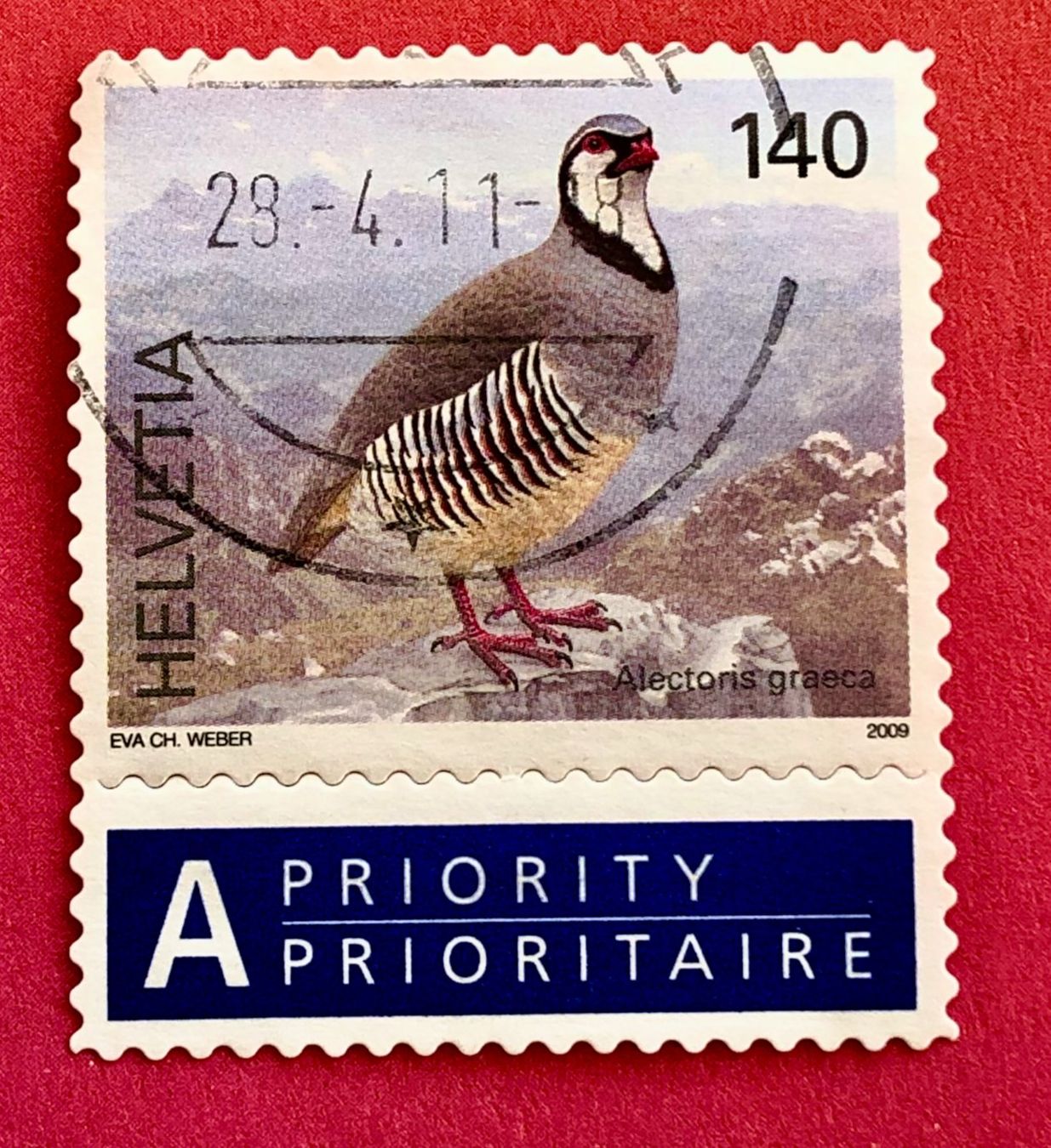 Tutti i francobolli: Nr.1306 Steinhuhn Vögel GESTEMPELT 2009    – Usato da Aarau venduto da Billa007