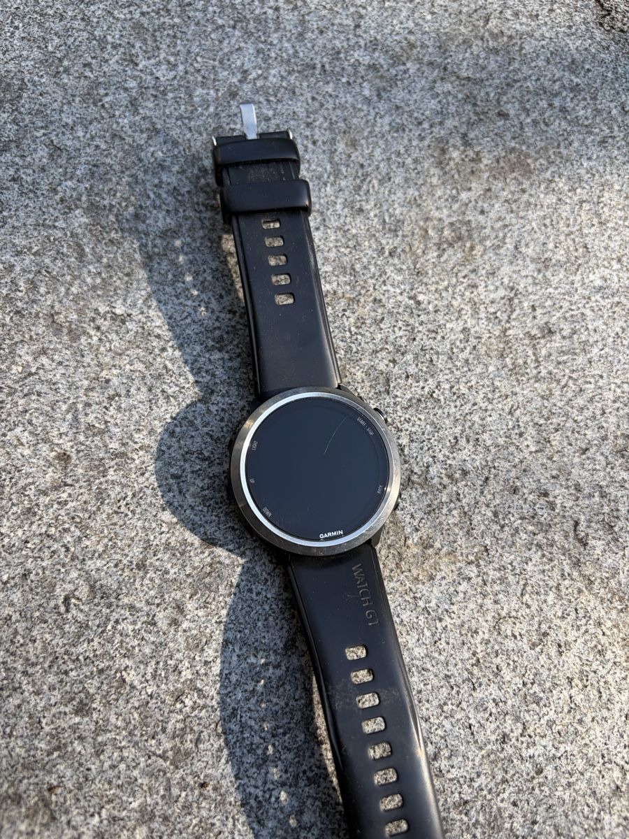Garmin Smartwatch: Smartwatch Garmin Forerunner 645 – Usato da Winterthur venduto da Bayon 2