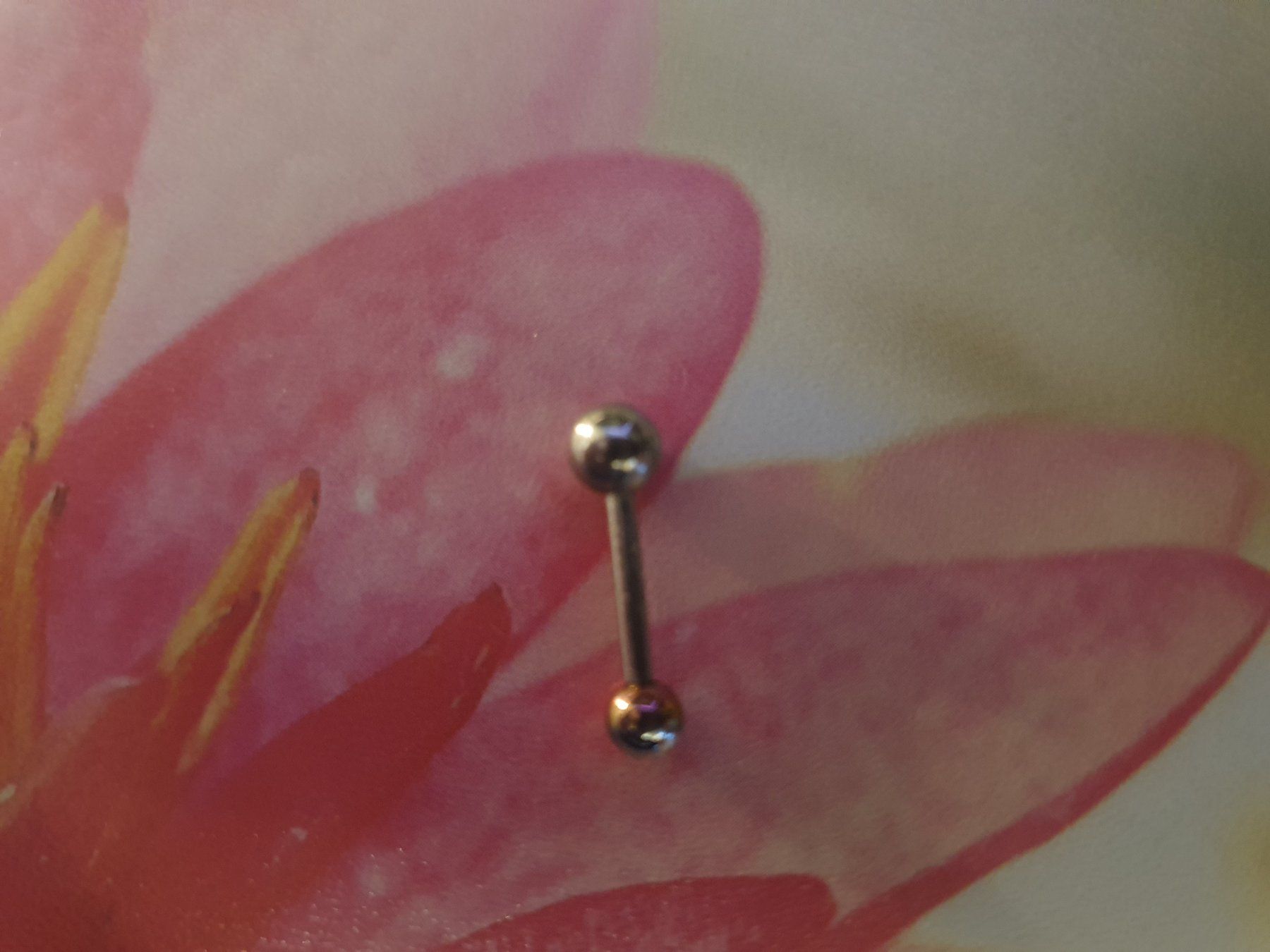 Gioielli per piercing: Piercing Stab mit 4 wechsel Kugeln – Nuovo (secondo la descrizione) da Zweidlen venduto da Shubli