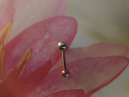 Piercing Stab mit 4 wechsel Kugeln