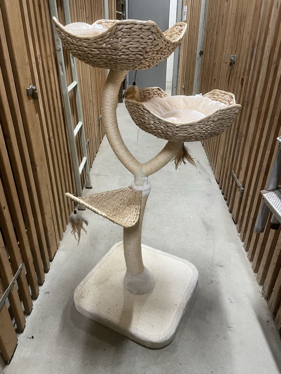 Tiragraffi: Kratzbaum Cat's Flower beige   – Usato da Aarau Rohr venduto da keedom