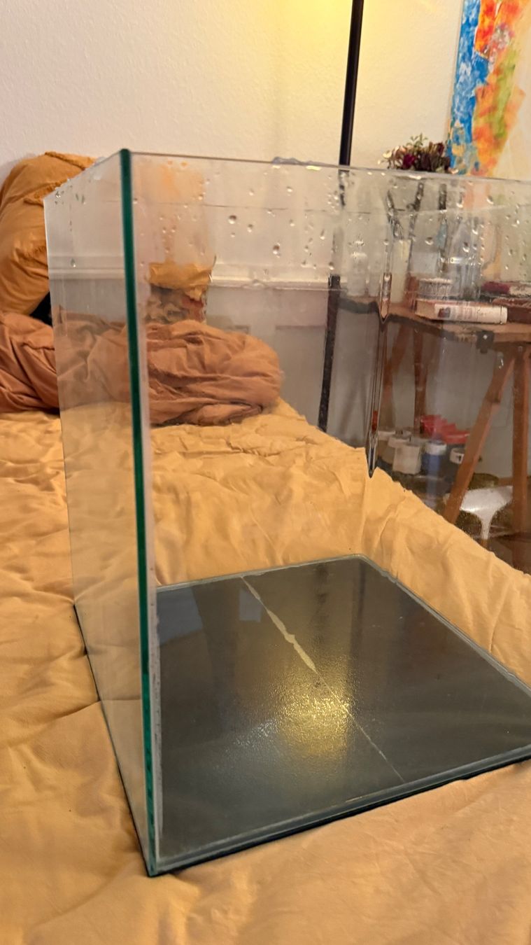 Acquari: 60 Liter Aquarium Dennerle Nano Cube – Nuovo (secondo la descrizione) da Zürich venduto da NorinaAurora 4