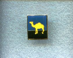 CAMEL