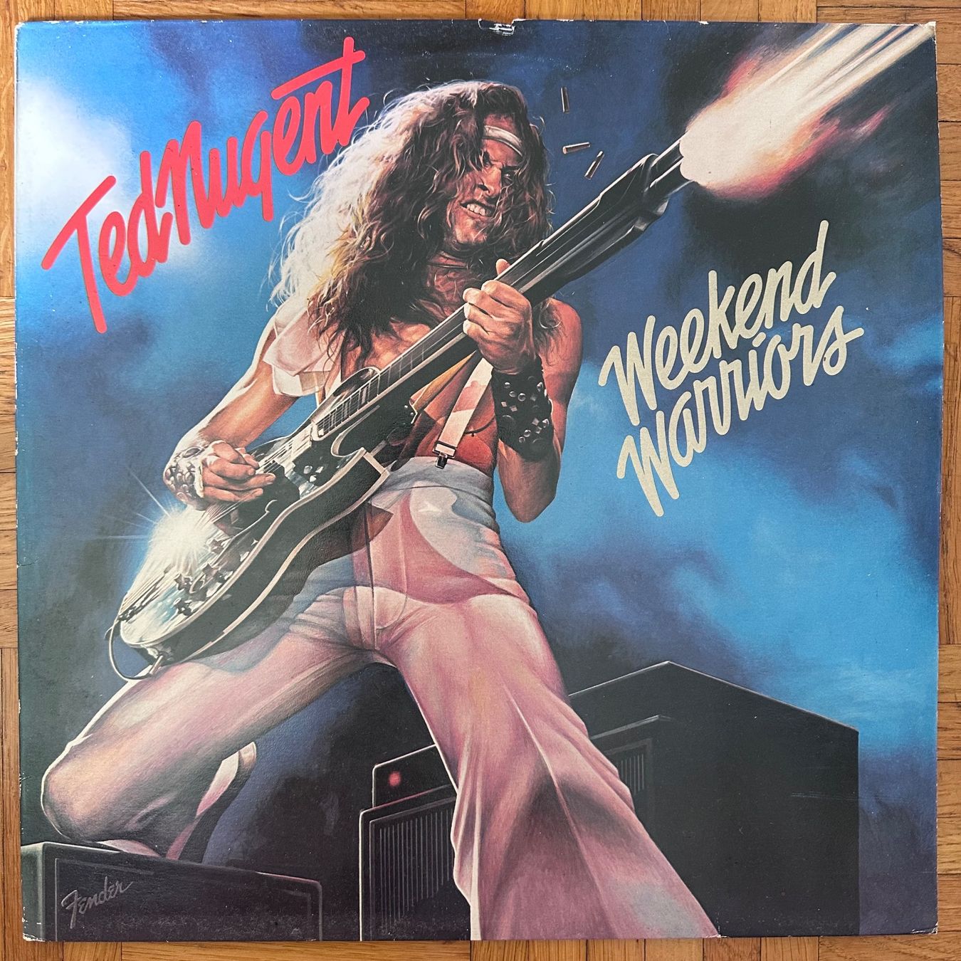 Dischi in vinile: LP - Ted Nugent - Weekend Warriors – Usato da Breganzona venduto da Onairda75