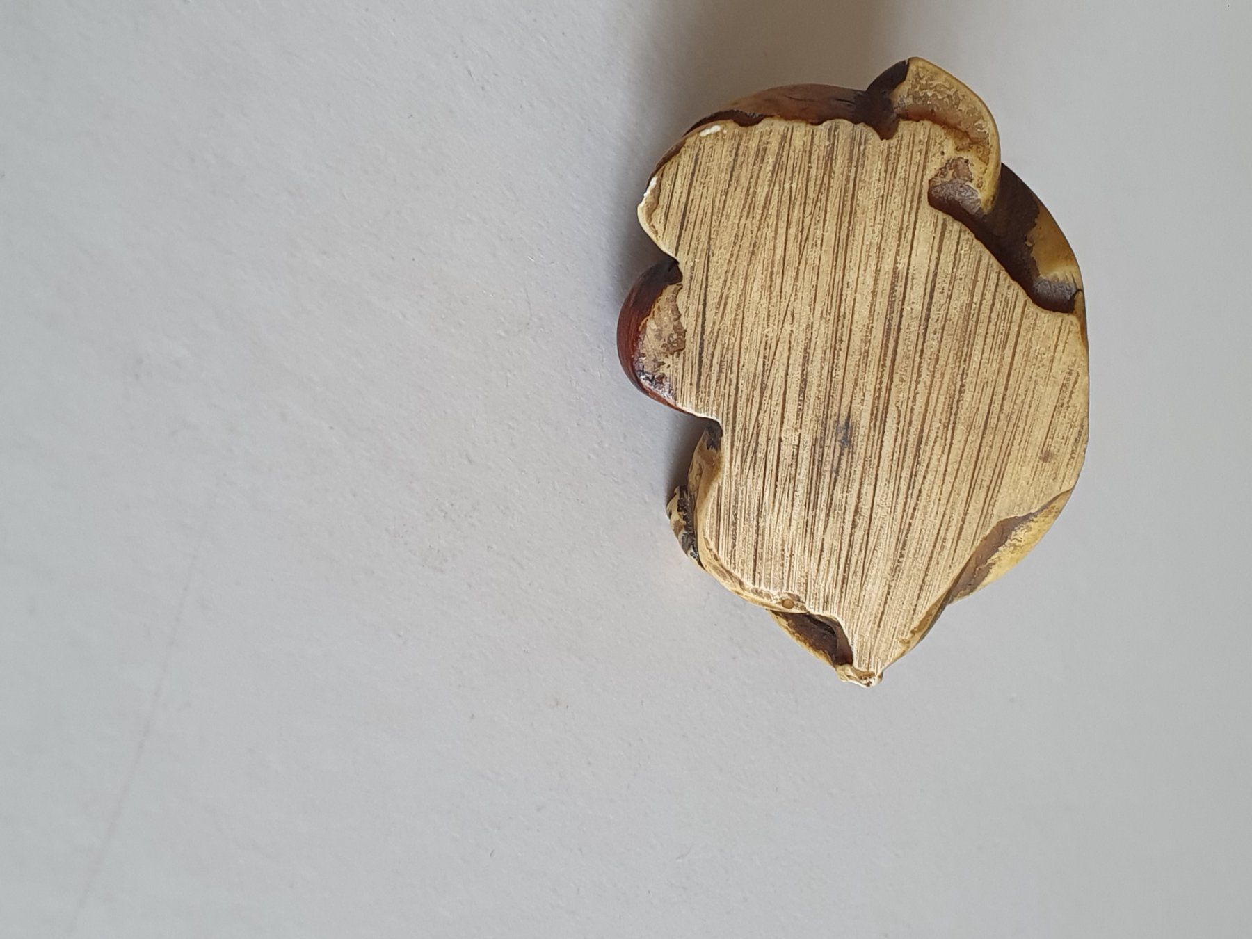 Figurines: Netsuke – D'occasion à Fribourg par Fineartsukiyo 2