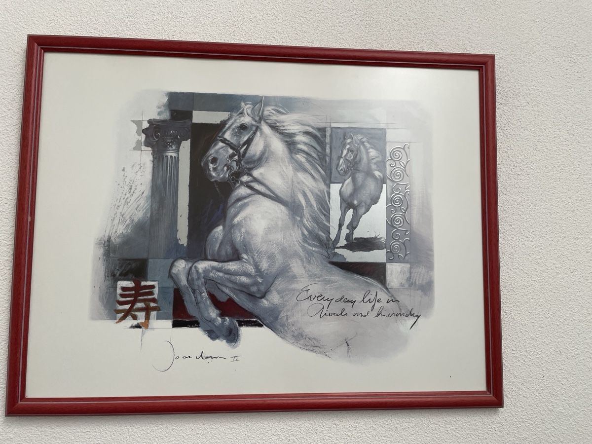 Foto & Immagini: Bild gerahmt  – Usato da Schalchen venduto da evy_7wrt 1