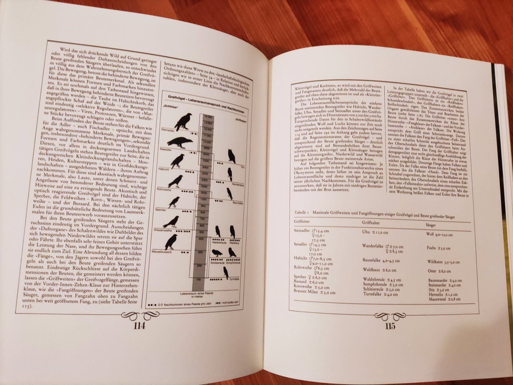 Bücher: Wild und Jagd Buch Graf von Thun – Gebraucht aus Solothurn von Csw1 4