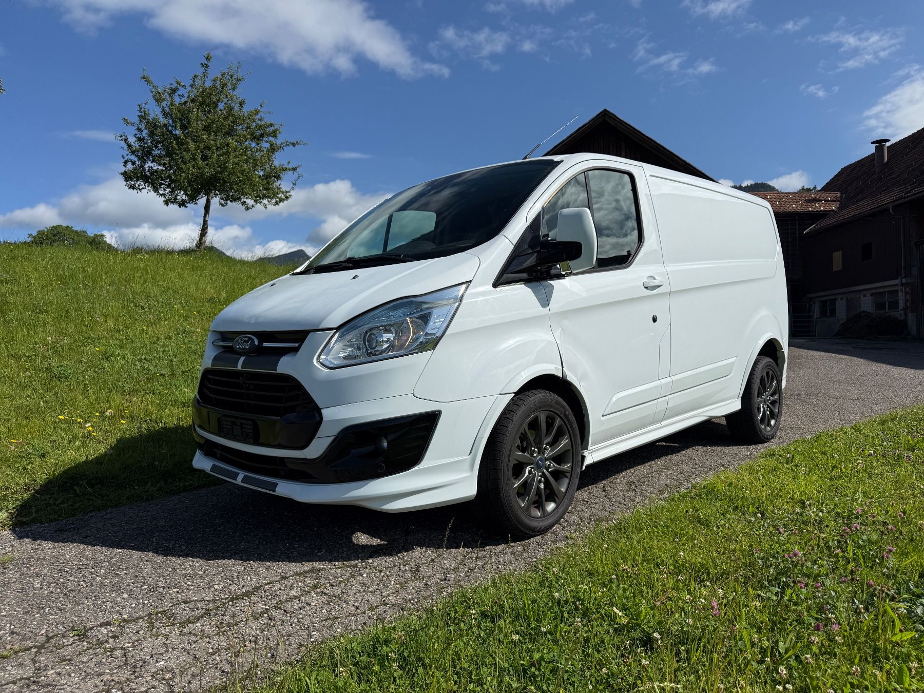 Ford Veicoli commerciali: Ford Transit Custom Diesel – Usato da St. Gallenkappel venduto da GGall1