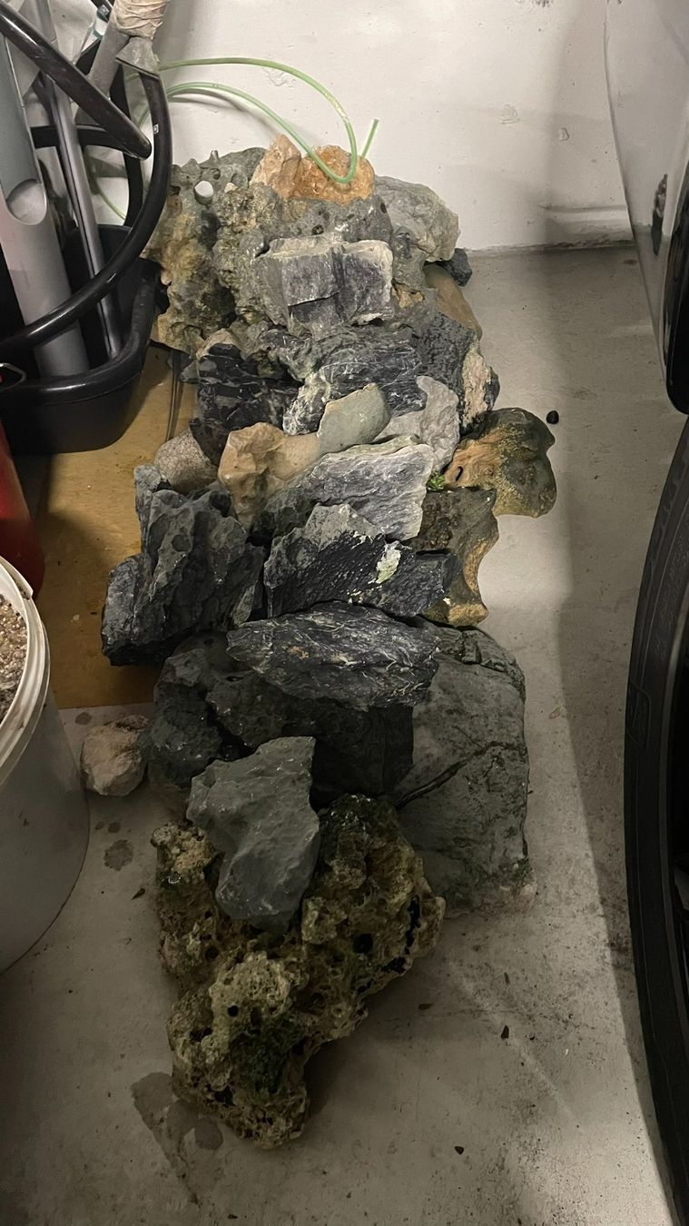 Terrario: Terrarium mit Deko – Usato da Boniswil venduto da Jpis 2