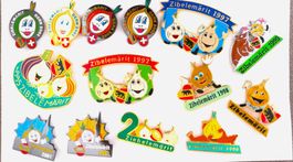Pin Sammlung Zibele Märit Bern
