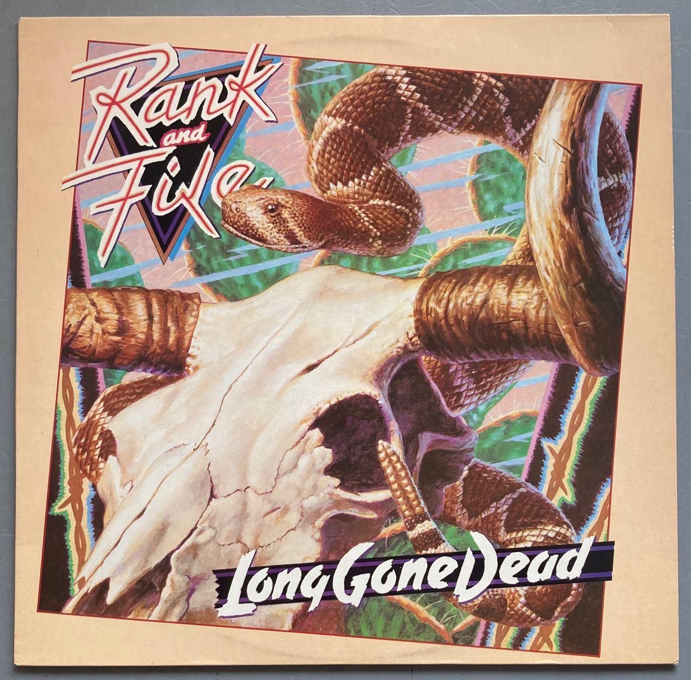 Dischi in vinile: RANK AND FILE - LONG GONE DEAD – Usato da Poliez-Pittet venduto da Newtown-Records