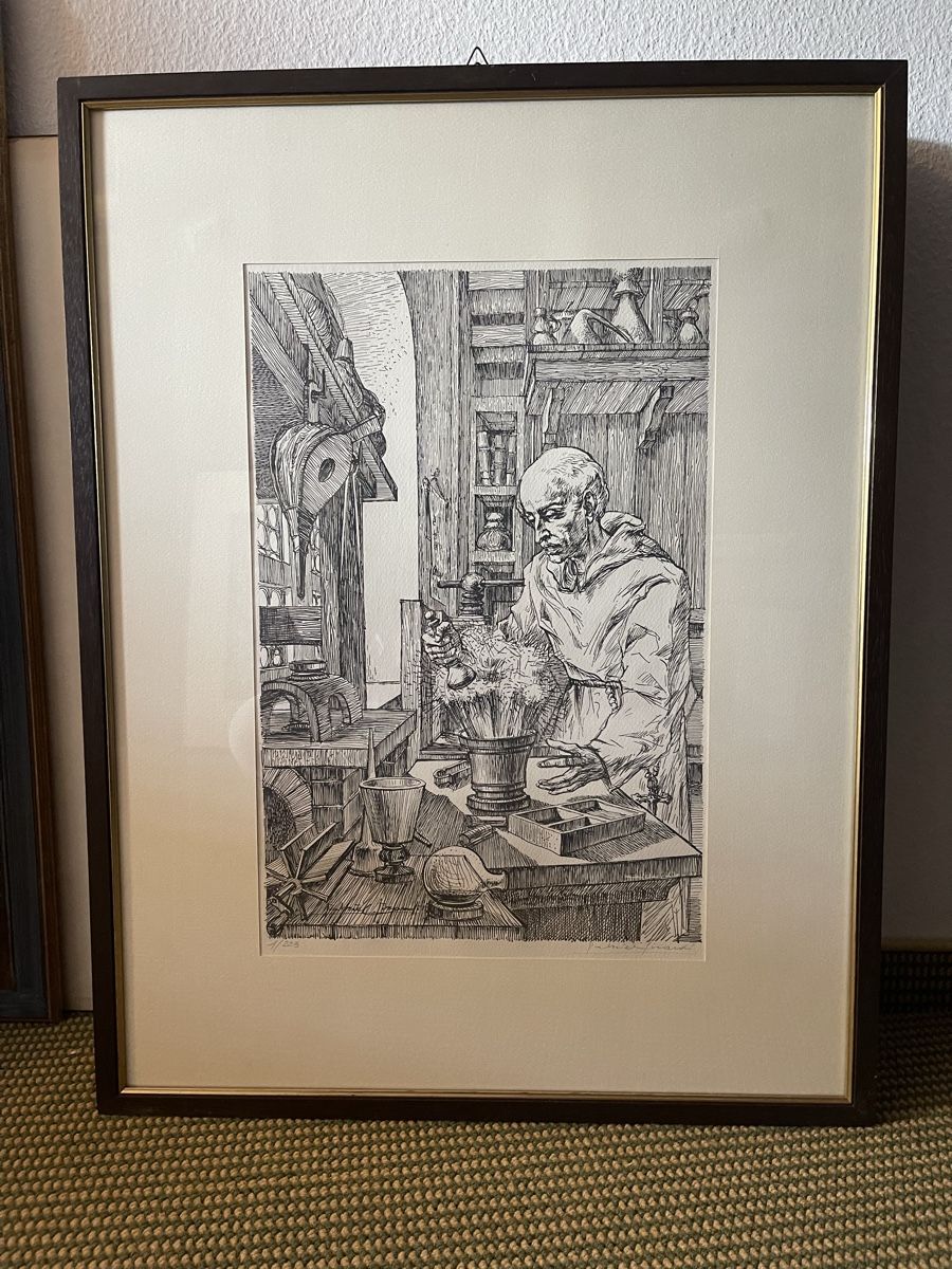 Incisioni: 10 Gravures original scientifique, numéroté, signé S.Cuccolo – Usato da lausanne venduto da sultan18 8
