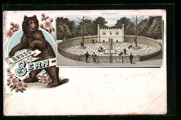 Cartoline postali: Litho Bern, Bärengraben, Gesamtansicht, – Usato da Berlin venduto da bartko-reher