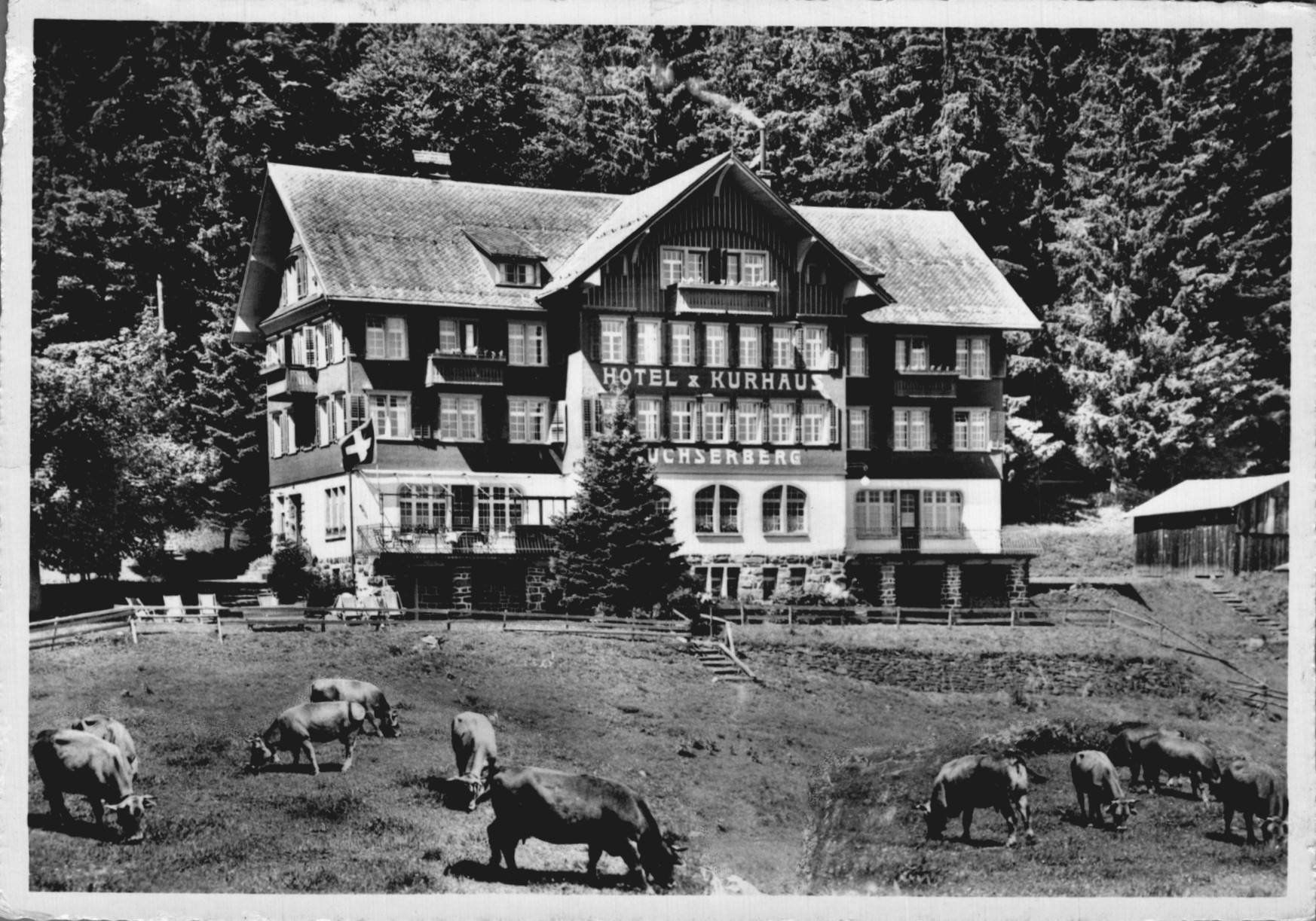 Cartoline postali: Alte Ansichtskarte Kurhaus Buchserberg ob Buchs/SG 1959 – Usato da Oberkirch LU venduto da sa_kr