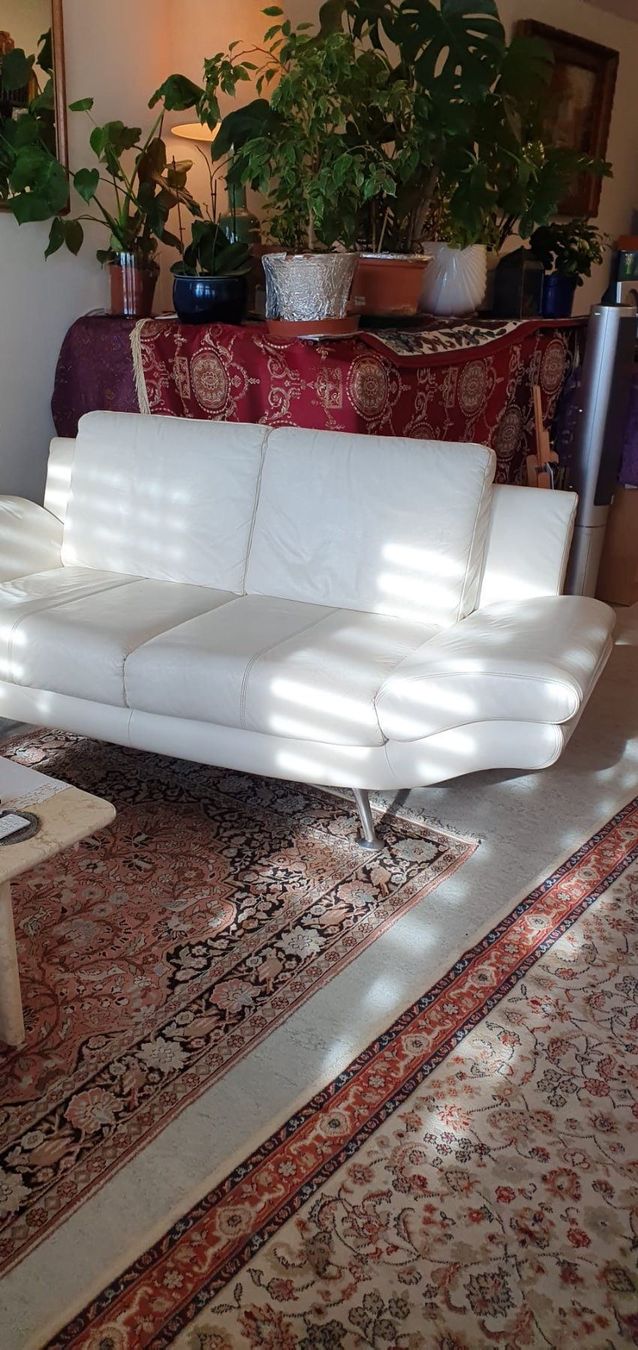 Divani: Zwei leder Sofa – Usato da Zürich venduto da ovi_5hfh