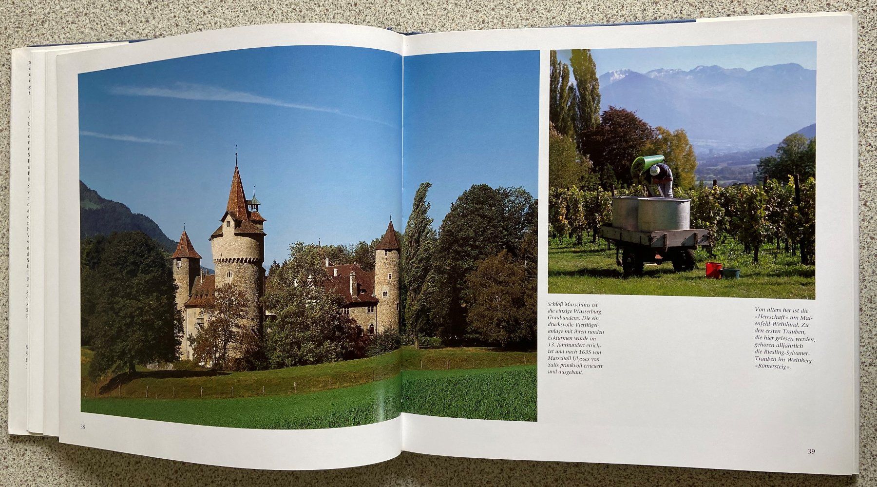 Libri: Buch Graubünden sehen und erleben – Usato da Böckten venduto da Hansi36 3