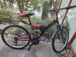 VELO VIVAS PRIDE 16 FÜR JUNGE LEUTE .. farbe schwarz und rot
