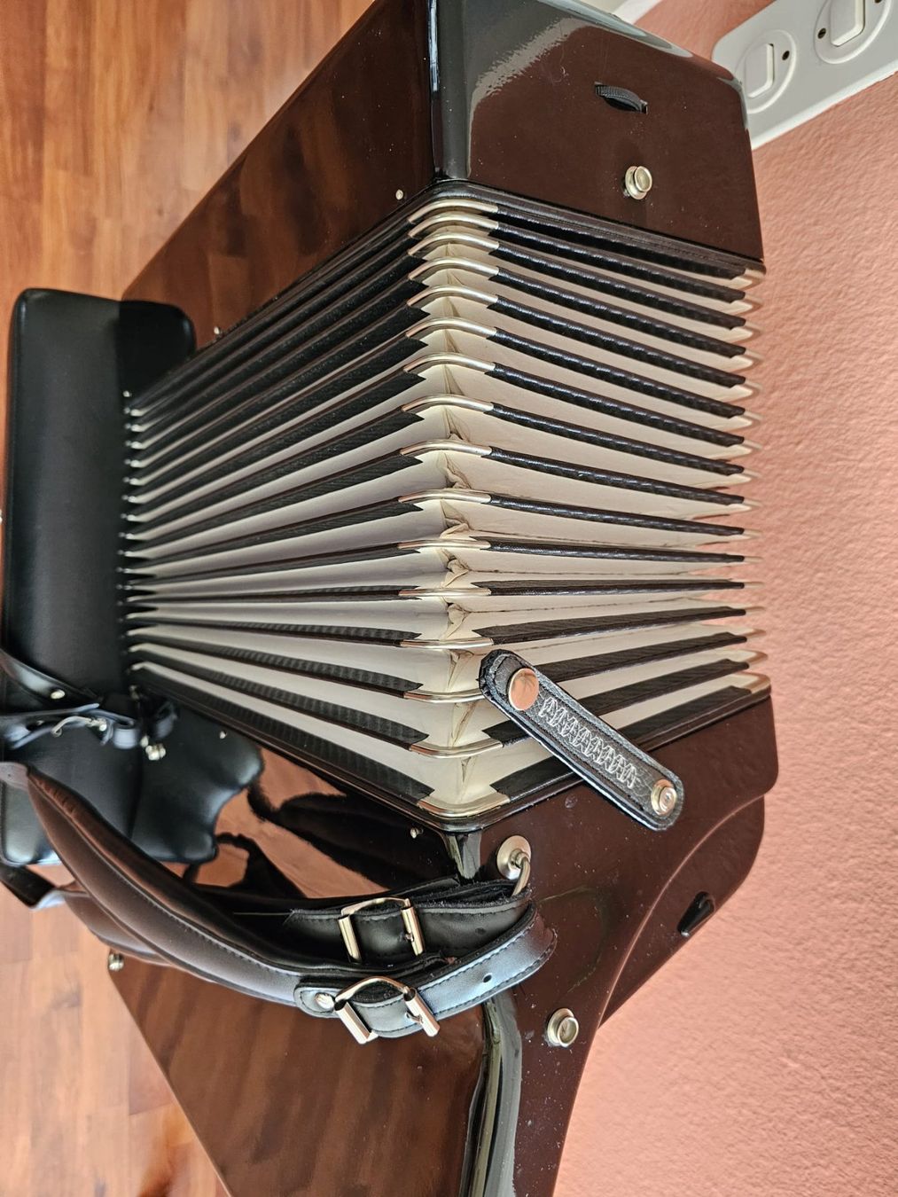 Strumenti musicali: Akkordeon – Usato da Luzern venduto da wildflower1 4