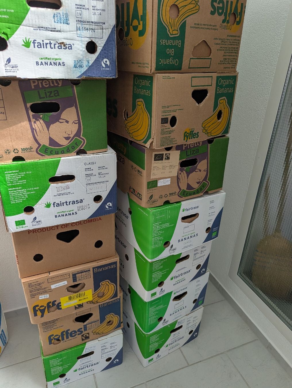 Cartoni: Diverse Bananen Kisten/Boxen – Usato da Fischbach LU venduto da mko_hy8j