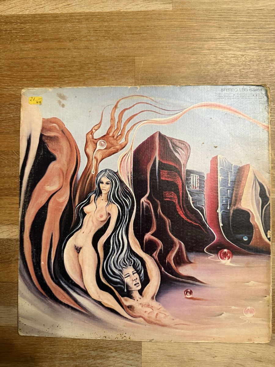 Dischi in vinile: MAN - Man LP - Seltene Vinyl Schallplatte – Usato da Goldach venduto da Messerguru 1