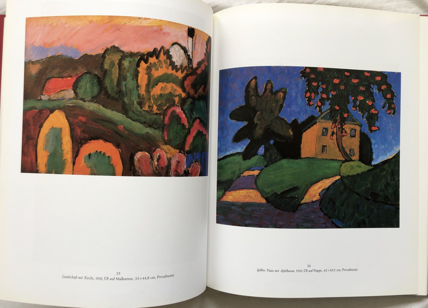 Libri: Gabriele Münter [Hardcover, Einband] – Usato da Schaffhausen venduto da durruti 5