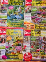 12 x Zeitschrift "Lisa"