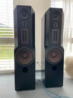 ACR RP 300–High-End Vintage Lautsprecher–sehr guter Zustand