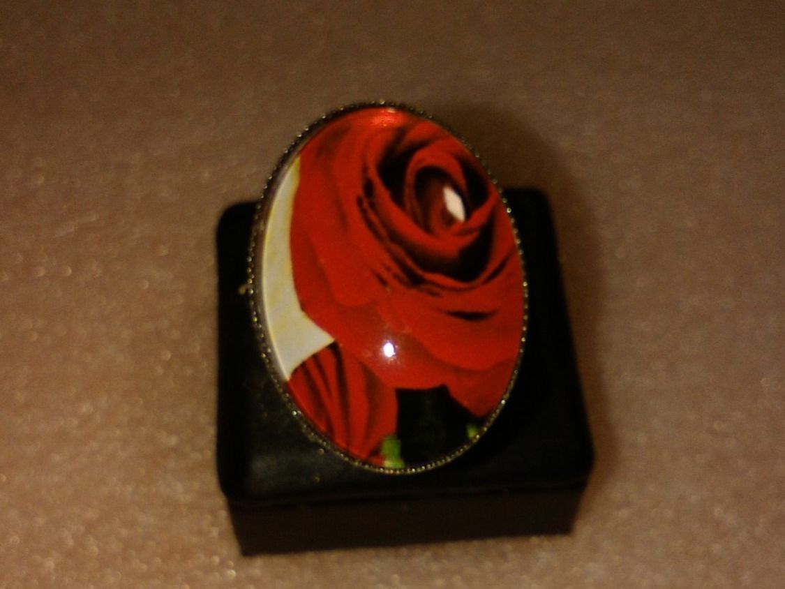 Ringe: RING EDELSTHAL ,,GLANZIG,,SILBER FARBE – Neu (gemäss Beschreibung) aus Basel von bijoutrie_4