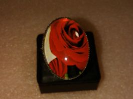 RING EDELSTHAL ,,GLANZIG,,SILBER FARBE