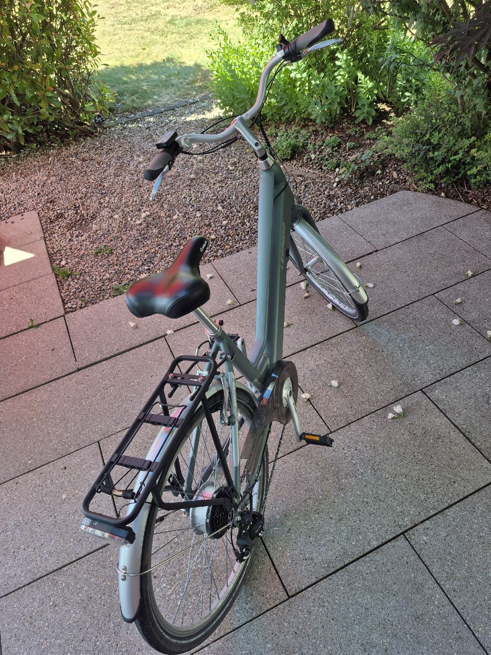 Leopard Biciclette: Leopard E-Bike Railway – Usato da Uznach venduto da dan_8m7d 6