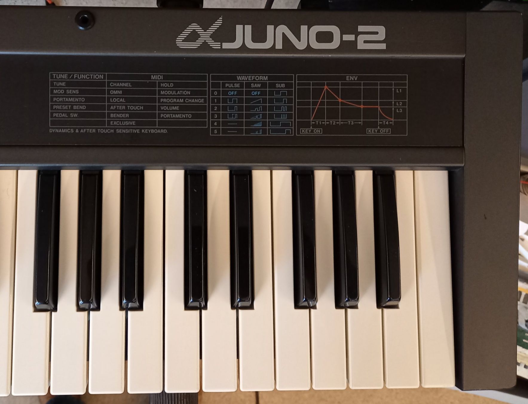 Roland Strumenti musicali: Roland Alpha Juno 2 – Usato da Luzern venduto da garlicia 3