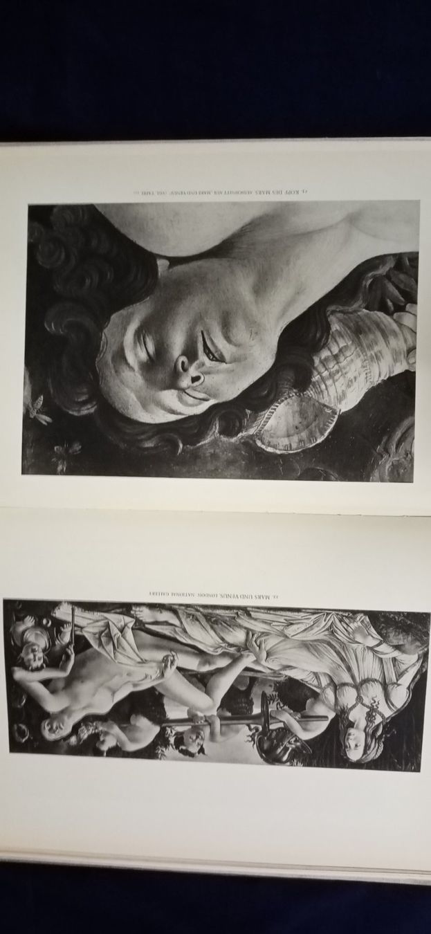 Libri: Botticelli , Bildband – Nuovo (secondo la descrizione) da Büsingen venduto da Flohminator 7
