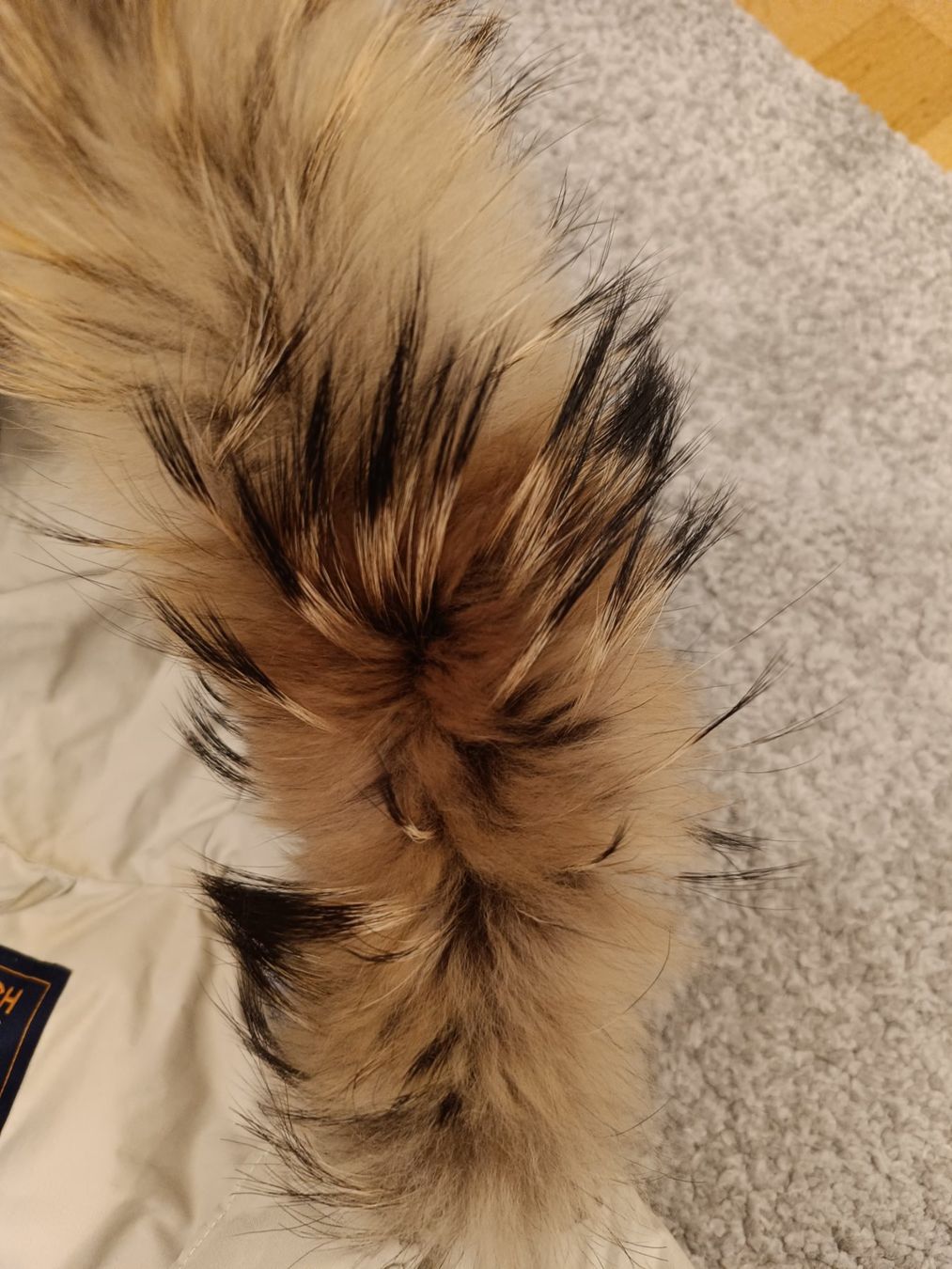 Woolrich Giacche: Winterjacke Woolrich Damen – Usato da Zürich venduto da Miranja 5