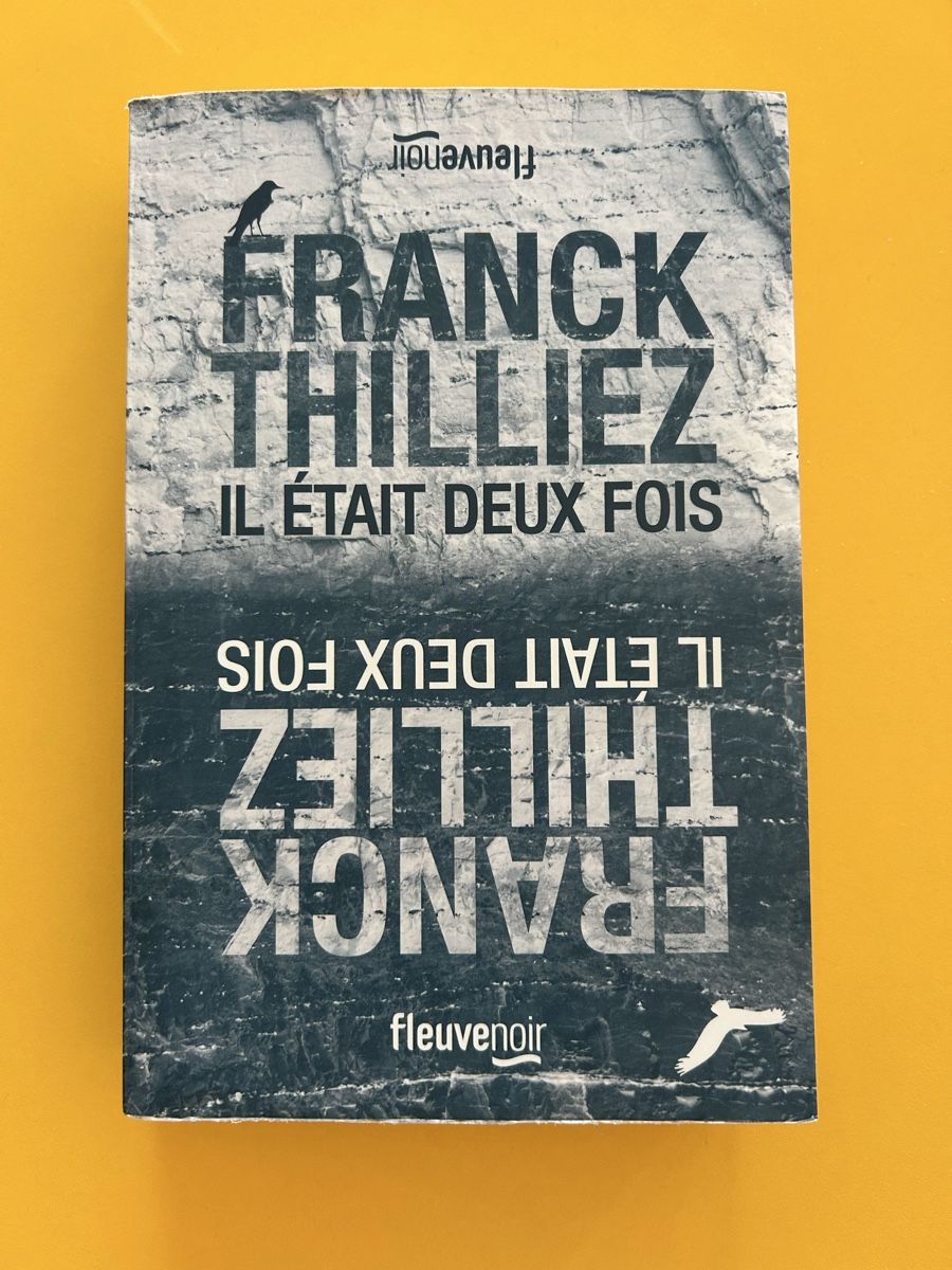 Bücher: Franck Thilliez - Il était deux fois  – Gebraucht aus Neuchâtel von mey_gx5m