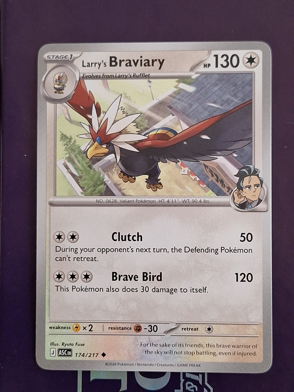 Pokémon Carte collezionabili: Larry's Braviary - Pokemon Ascended Heroes – Usato da Altstätten SG venduto da GGsGameshop