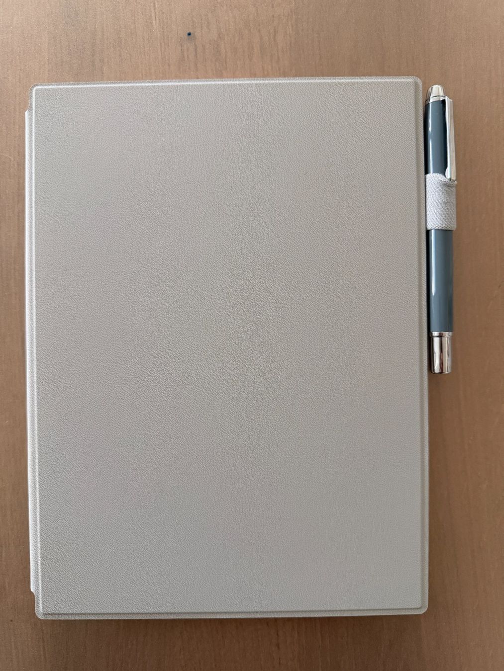 Tablet PC: GELEGENHEIT: E-INK NOTIZBUCH & READER SUPERNOTE A5 X2 MANTA – Usato da Zürich venduto da Style01 2