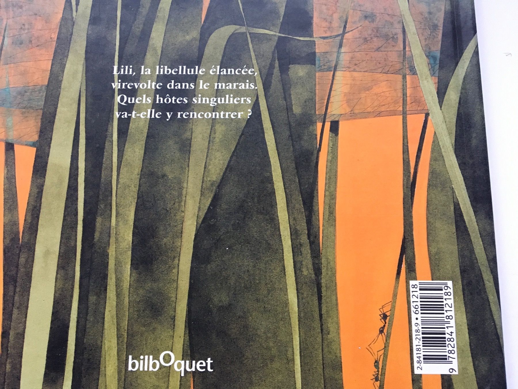 Libri: Lili la libellule           Bilboquet – Usato da Delémont venduto da vcx 6