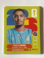 Panini WM 2026 Sticker - Pickel COD 8