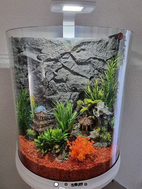 Aquarium 60L mit Zubehör a. Komplettset (Wert Fr.485.00) Kaufen auf
