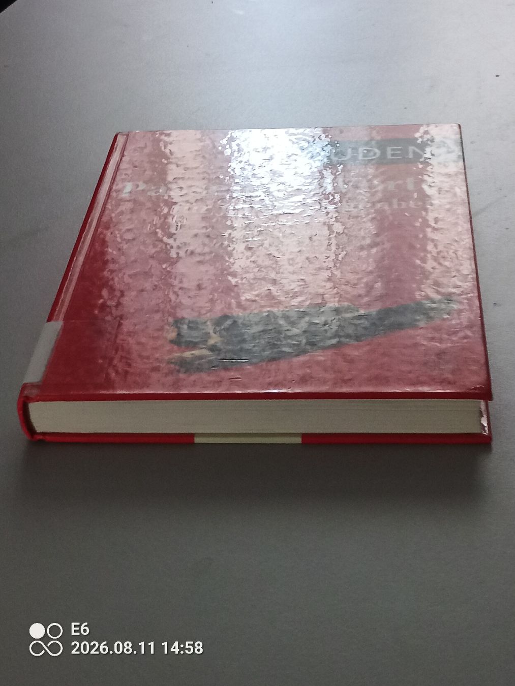 Livres: Duden  – D'occasion à Zürich par Mitzi6 1