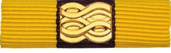Schweizer Armee Placchette & Badge: Ribbon Wasserfahrer – Nuovo (secondo la descrizione) da Koblenz venduto da Himmelsreiter