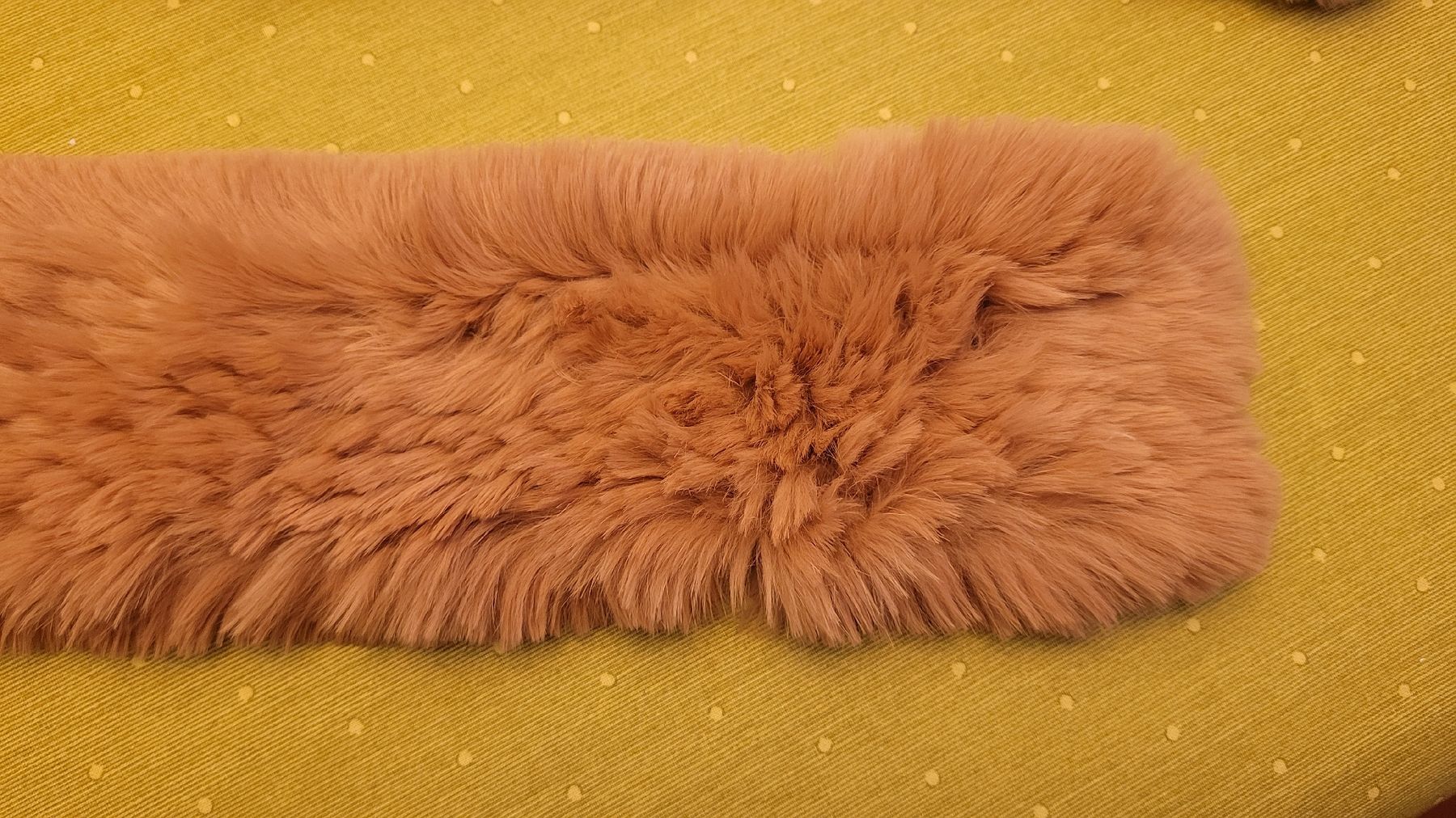 Marc Cain Foulard & Sciarpe: Marc Cain Rex Kanin Schal Camel – Nuovo (secondo la descrizione) da Winterthur venduto da Wohnhaus 4