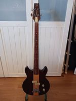 Bassgitarre "Vantage Witch-Bass"
