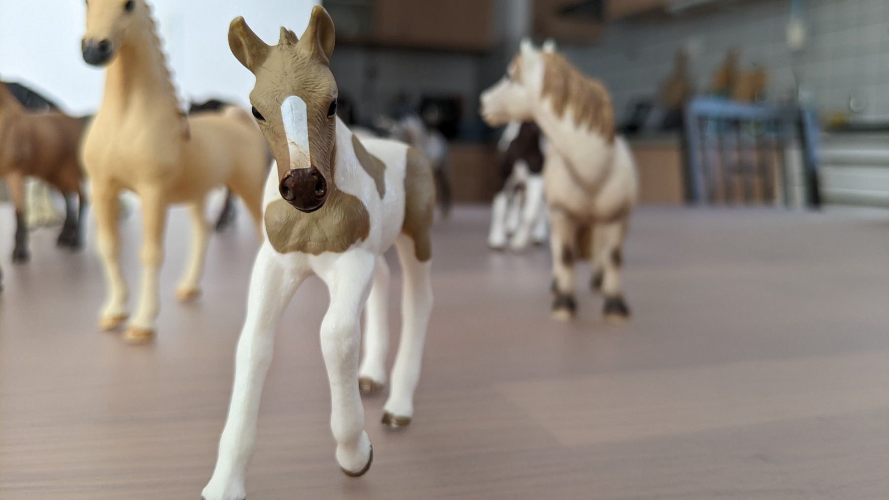 Schleich Giocattoli: 16 Pferde Schleich – Usato da Orbe venduto da hondasss 6