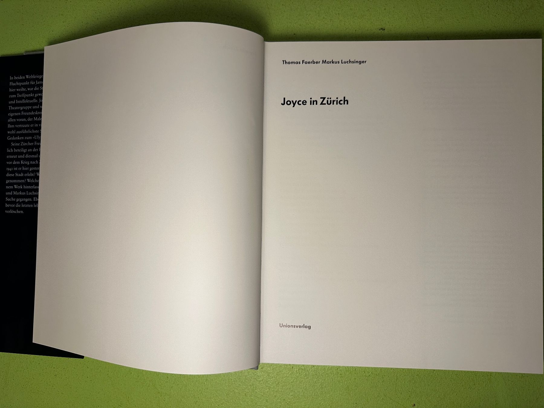 Libri: Thomas Faerber, Markus Luchsinger: Joyce in Zürich. – Usato da Zürich venduto da allp 2