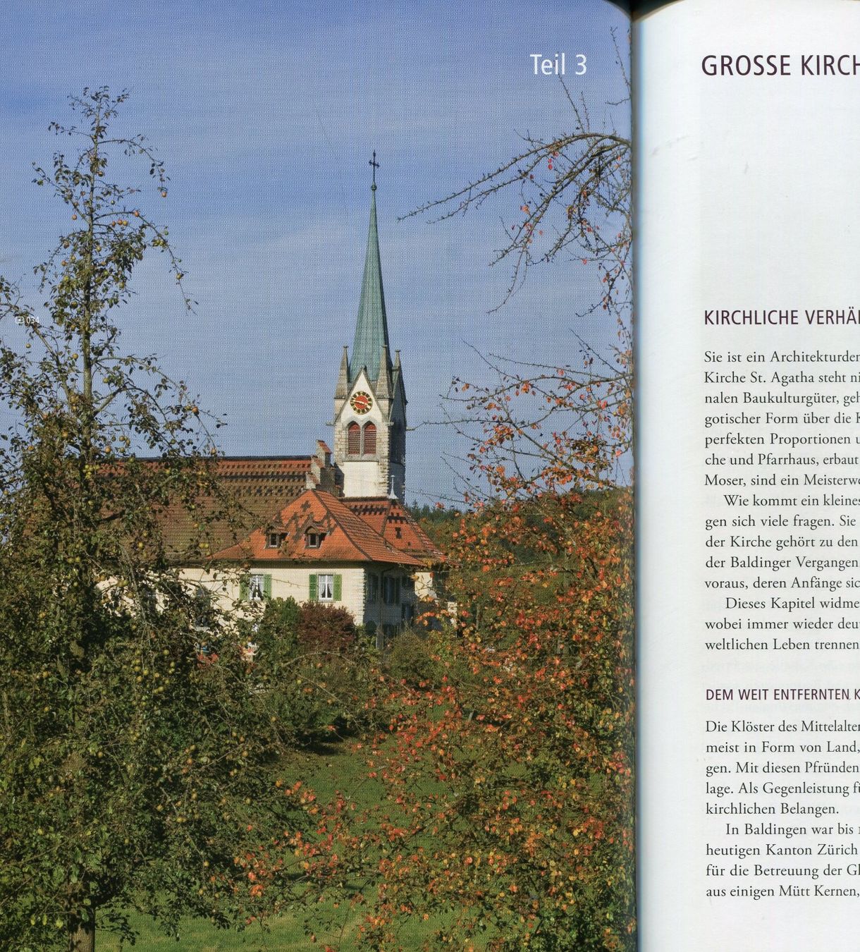 Libri: Baldingen, Zurzach, Ortsgeschichte – Usato da Aarau venduto da Elmaar41 5