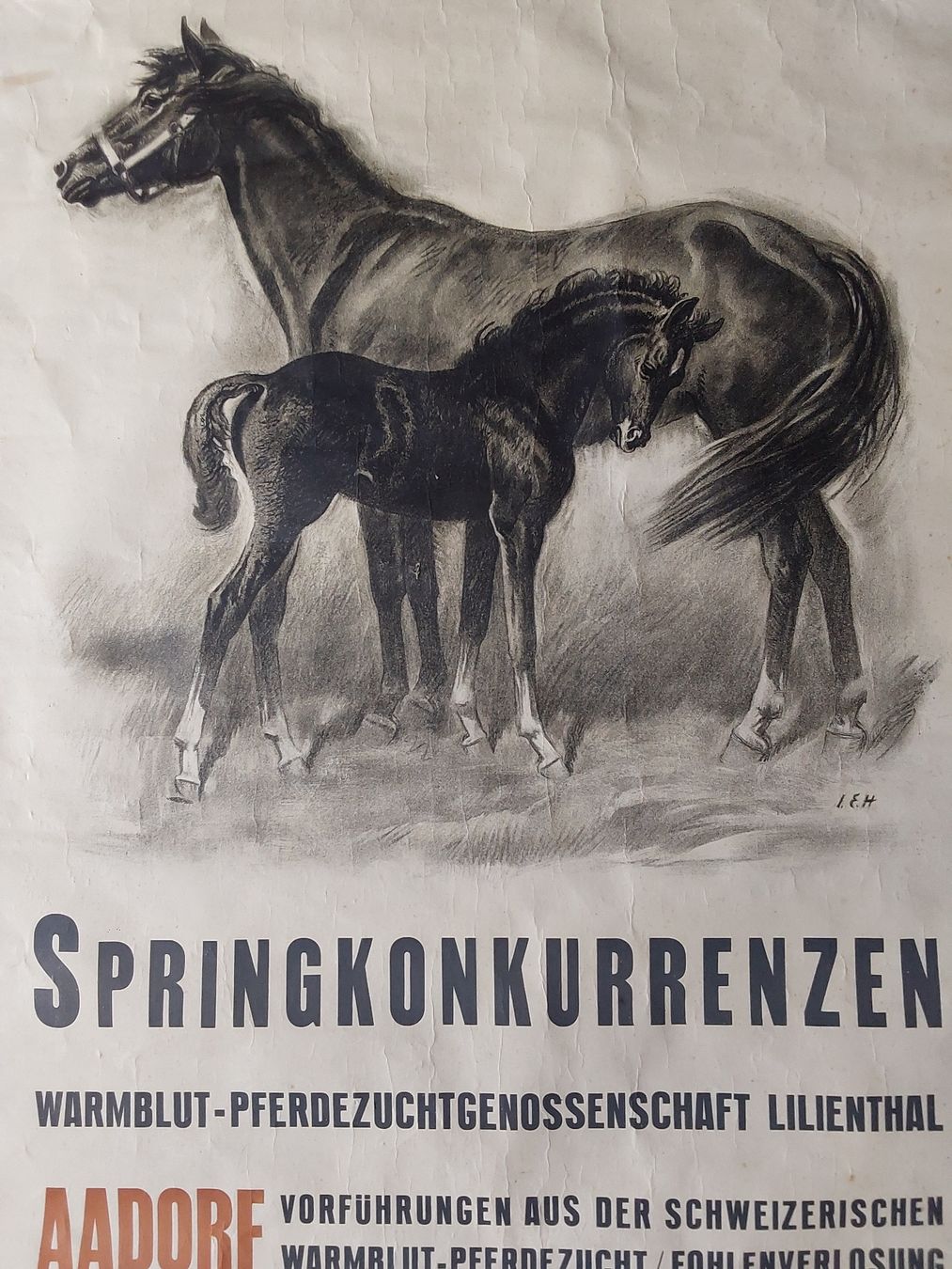 Grafica & Litografie: Hugentobler Iwan 69x100cm. Plakat  – Usato da Steinach venduto da Chilli1957 2