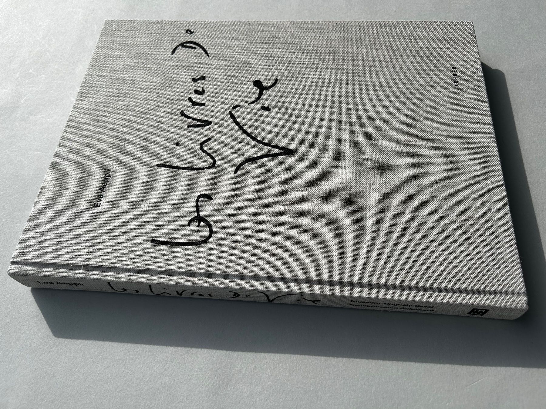 Libri: Eva Aeppli  Kunstkatalog "Le livres De Vie" – Usato da Zürich venduto da Coffeetable88 7